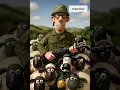 Download Lagu We are soldier #shaunthesheep #sheep #soldier #art
