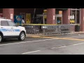 Food Lion hit-and-run