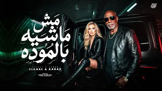 مش ماشيه بالموده                                                                 دندنها