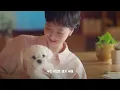 [Lyric Video] 신인류 - 주인공 (2026 Ver.) (유미의 세포들 시즌3 OST Part 2)｜리릭비디오｜Stone Music Playlist