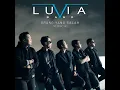 Orang Yang Salah - Luvia Band
