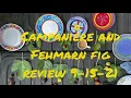 Fig Review Campaniere and Fehmarn