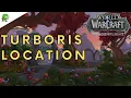 Dragonflight Turboris Location