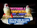 Download Lagu 🔴suara pikat burung kapas tembak di jamin lengket