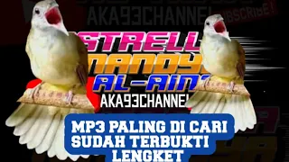 Download 🔴suara pikat burung kapas tembak di jamin lengket MP3