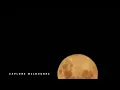 Full Moon Melbourne