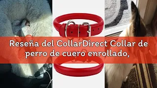 Resena del CollarDirect Collar de perro de cuero enrollado collar de cachorro redondo acolchado sua