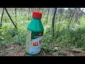 All Kill Glyphosate 41 5