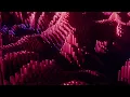 Peggy Gou Live 2024 Most Played Tracks