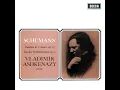 Schumann: Fantasie in C, Op. 17 - 2. Mäßig. Durchaus energisch - Etwas langsamer - Vielbewegter