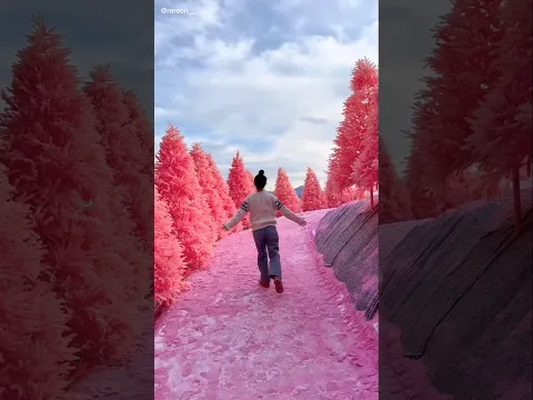 ¡Estos Lugares Parecen Falsos, Pero Son Reales! 😱✈️
