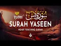 Download Lagu Surah Yasin (Yaseen) سورة يس | A Whispered Reminder of Spiritual Peace | Al-Taqwa TV