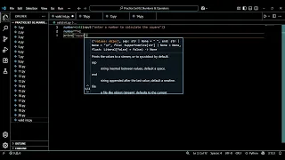 How to Validate Integer Input in Python Handling User Input Safely