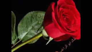 يا عيون عطشانه 