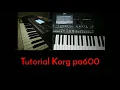 Download Lagu cara kalibrasi layar pada keyboard korg pa 600