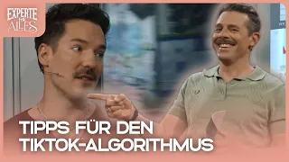 Nico Stank und Klaas geben Tipps für den TikTok-Algorithmus | Experte für Alles