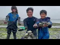 Digging Gaper clam Geoduck - Bodege Bay Trout