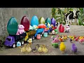 Download Lagu Colorful Surprise Eggs, Cow, Octopus, Dinosaur, Duck, Love Bird, Owl, Squirrel, Truck, Thomas train