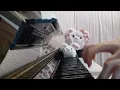 和楽器バンド  「オキノタユウ」