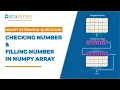 Checking and filling number in Numpy Array Numpy Tutorial
