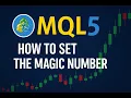 How to Set the Magic Number in MQL5 Input Parameters Strategy Tester Explained