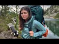 Download Lagu SOLO Camping, Fishing \u0026 Foraging in Grizzly Bear Territory (I HAD to do FIRST AID on my DOG)