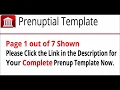 Prenup Agreement Example