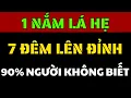 Download Lagu Bí Quyết Sinh Lý Từ Lá Hẹ – Quý Ông Dùng Là Khỏe, Sung, Không Biết Mệt!