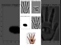 Blending images Gaussian Pyramids Laplacian Pyramids scikit-image Python