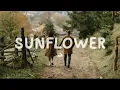 Amber Run - Sunflower