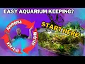 The Nitrogen Cycle The most important aquarium info