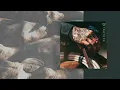 Cody Johnson - Dirt Cheap (Visualizer)