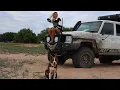 Download Lagu THE WILD WEST | 4x4 \u0026 Fishing Action