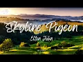 Download Lagu Elton John - Skyline Pigeon (Lyrics)