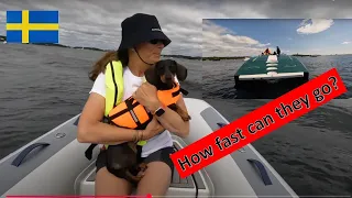 Sailing hub and fast boats Ep 103