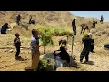 Download Lagu Nomadic Life: How Nomads Build Canopies |🥛 Summer Canopies of Strong Nomadic Women in Action🏕