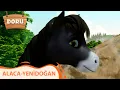 Alaca - Yenidogan Doru 27 Bolum