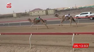 ش    الحذرة  ل  خلفان مبارك فاضل المزروعي         شارة الديوان            ثنايا سويحان دندنها