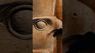 الحياة الدينية فى أقل من 3 دقايق 