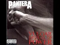 Pantera-Regular People (conceit)