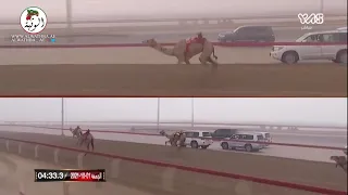 الشوط 17 تغازوت لـ محمد حمد بن حميد راعي قحير الدرعي 5 55 8 تأهيلي الوثبة 2021 10 1 الوثبة لقايا 