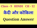 Lagu kaidi aur kokila question answer