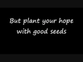 Thistle Weeds - Mumford and Sons
