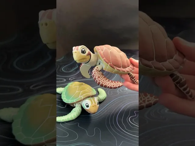 Sea Turtle - Articulated Figure video thumbnail
