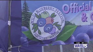 Machias Wild Blueberry Festival returns for 50th year