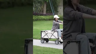 You Must Have An Electric Camping Wagon This Is Great For Girls Camping Wagon Powerbank 