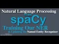 SpaCy Python Tutorial - Training Updating Our Named Entity Recognizer