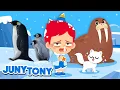 Download Lagu Polar Region Animals | 🥶🐧 Penguins, Polar Bear, Walrus | Animal Songs and Stories | JunyTony