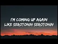 Tom Walker - Serotonin (Lyrics)