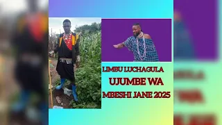 LIMBU LUCHAGULA FT MAYIKUSAI UJUMBE WA MBESHI JANE 2025 